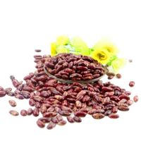 Kidney Beans