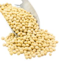 Soybeans