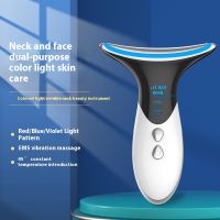 Face and Neck Massager Tools