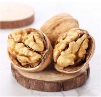 Walnut inshell,walnut kernels