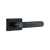 Kastilho sliding glass door smart lock GL2 From China