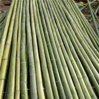 Factory and Natural Bamboo Poles, Bamboo Raw Materials, Bamboo Crafts 
