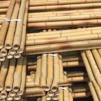 Factory and Natural Bamboo Poles, Bamboo Raw Materials, Bamboo Crafts  From Bulgaria