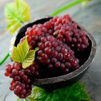 New Crop Delicious Fresh Green Grapes Natural Seedless Grapes for Wholesale