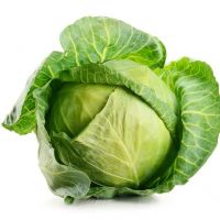 Good Quality Fruits and Vegetables Fresh Green Cabbage From Bulgaria
