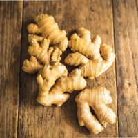 Hot Selling Fresh Ginger Wholesale Ginger Fresh Stock Bulk From Bulgaria