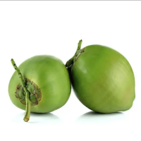 Fresh Green Young Coconut Top Quality Best Price Coconut for Wholesales
