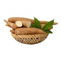 Top Quality Organic Fresh Cassava for Sale From Bulgaria