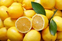 Best Quality Lemons for sale