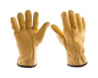 Direct Supplier&#039;s High Quality Cow hide gloves With Best Price
