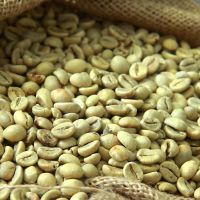 High Quality Robusta Coffee Beans 20kg Carton