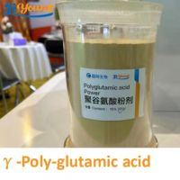 Polyglutamic acid powder 30%