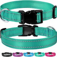 Pet collar for dog 