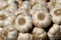 Dried ginger