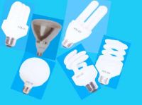 energy saving lamp,socket etc.