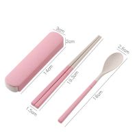 2 Pcs Wheat Straw Travel Cutlery Set From China