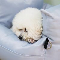 Detachable Dog Car Seat From China