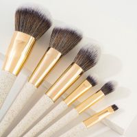 6 Pcs Biodegradable Wheat Straw Makeup Brush Set From China