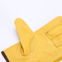 Leather Gardening Work Gloves From China