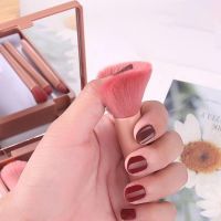5 Pcs Makeup Brush Set With Mirror From China