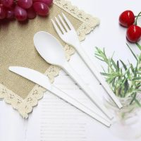 Custom Disposable Biodegradable Cutlery Set From China
