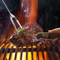 Digital Meat Thermometer From China