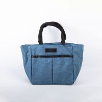 Insulated Adult Lunch Tote Bag