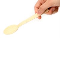 Biodegradable Disposable Bamboo Spoon From China