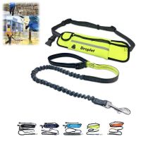 Hands Free Dog Leash With Pouch From China
