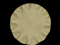  summer hot selling of round classic 38cm  heat resistance woven  placemats 