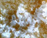 Huperzine A