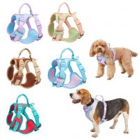 Pet waterproof collar four-piece set dog leash dog collar dog chest and back toilet pickup suitable for small, medium and large dogs