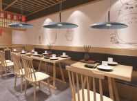 Acoustic Felt Pendant Light Sound Absorbing