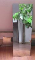 Hot Clear/Color/Aluminium/Silver/Antique/Decorative/Bathroom/ Decorative/Safety/Unframed/ Single/Double Coated Float Sheet Mirror 2mm 3mm 4mm 5mm 6mm