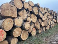 Hardwood Logs and Sawn Timber From Croatia