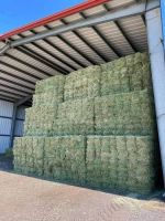 Alfalfa Hay Bale Premium Standard For Sale From UK