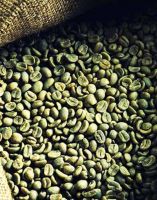 Guji Uraga Grade 1 Washed Coffee Beans. Nensebo And Sidama Organic Coffee