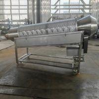 Green Beans Snipper Machine From China