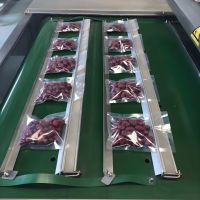 Continuos Vacuum Packing Machine From China