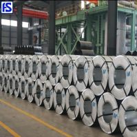 Galvanized Steel Coil/sheet/roofing Sheet/panel/ppgi/ppgl And Construction Materials