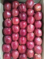 Iranian Pink Apple