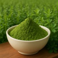 Alfalfa Powder From India