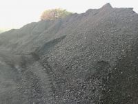 Coal