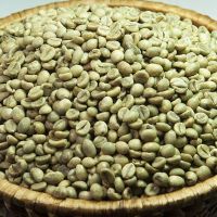 Robusta Green Coffee Beans