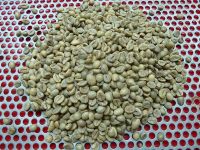 Robusta Green Coffee Beans