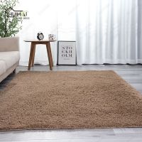 Shaggy Solid Color PV Plush Carpet