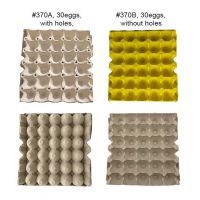 Disposable Pulp Paper 