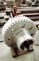 Spur Gear