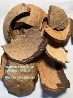 SANDED & POLISHED COCONUT SHELLS