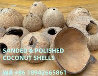 COCONUT SHELLS/CHIPS